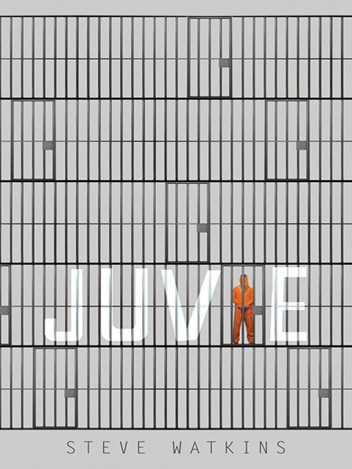Cover image for Juvie
